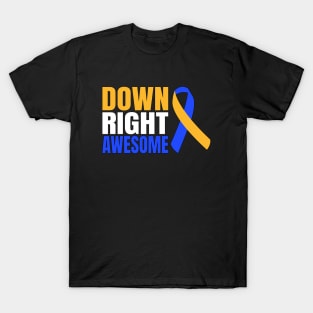 Down Right Awesome T-Shirt